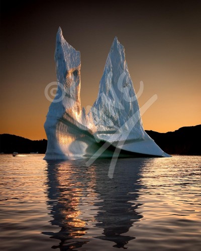 Twillingate, iceberg at dusk